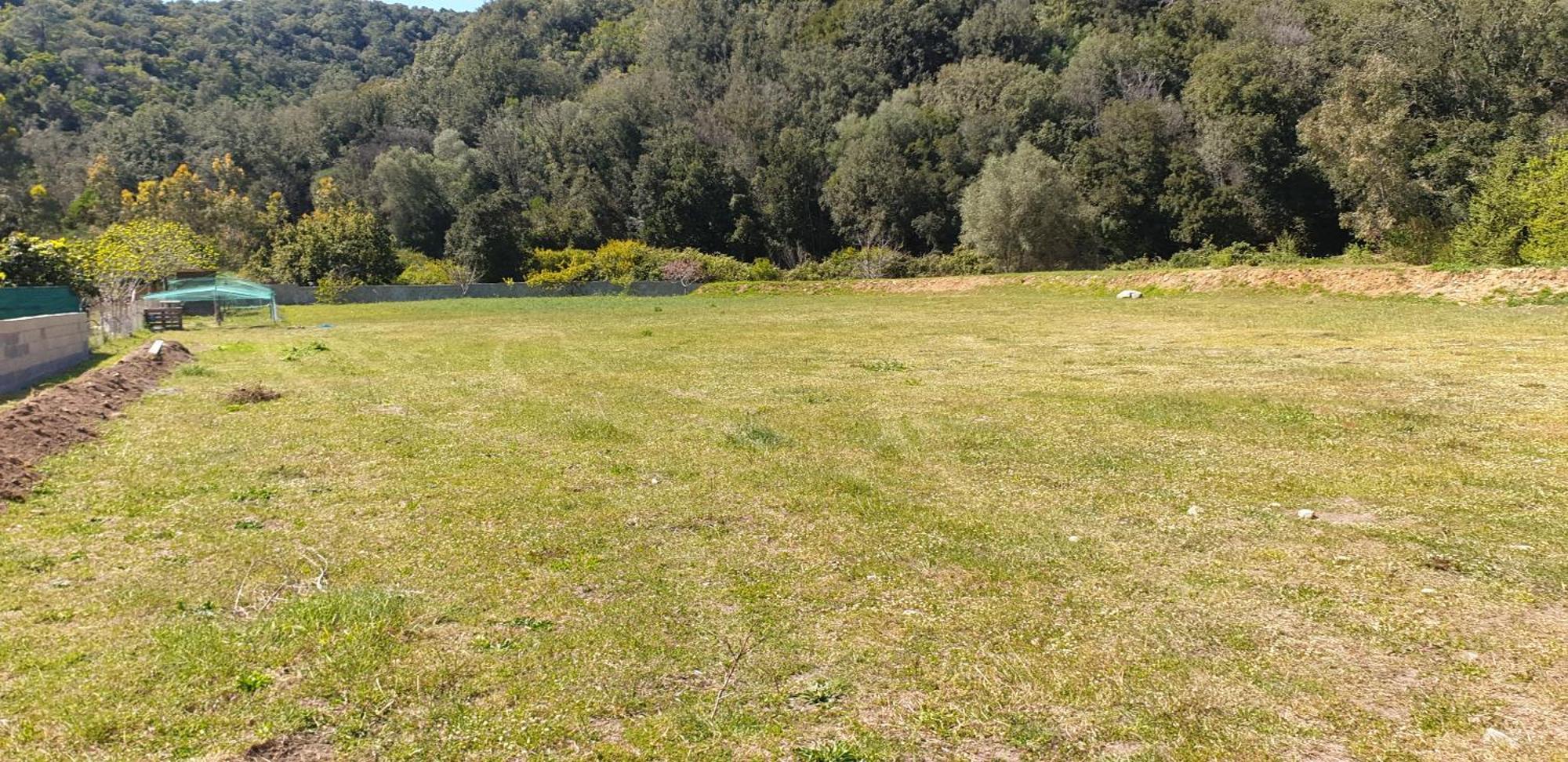 Auberge De Cannedda Sari-Solenzara Rom bilde