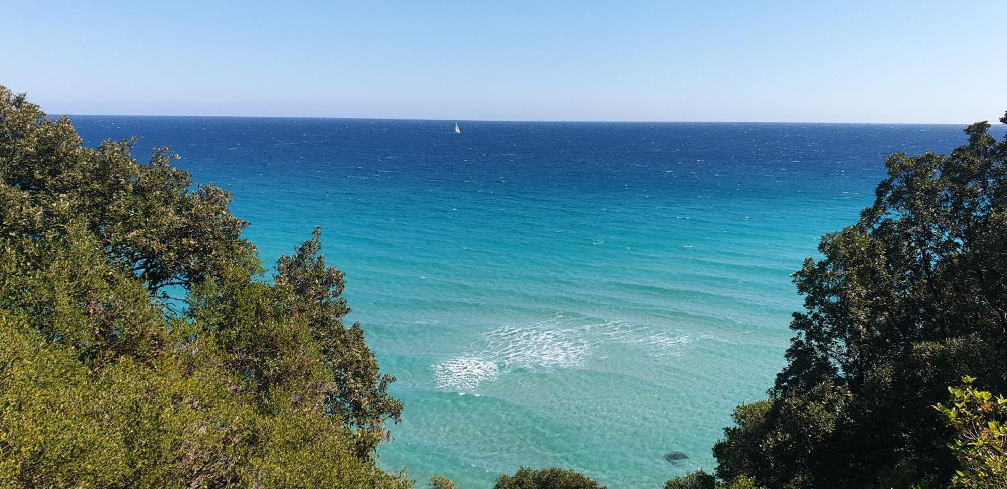 Auberge De Cannedda Sari-Solenzara Rom bilde